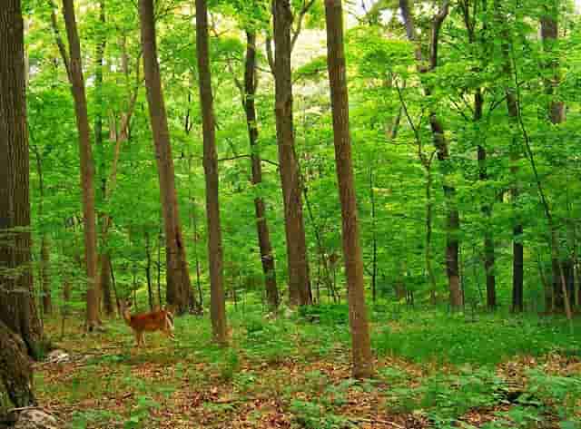 astrazeneca最新疫苗