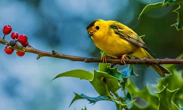 广外2021高考招生