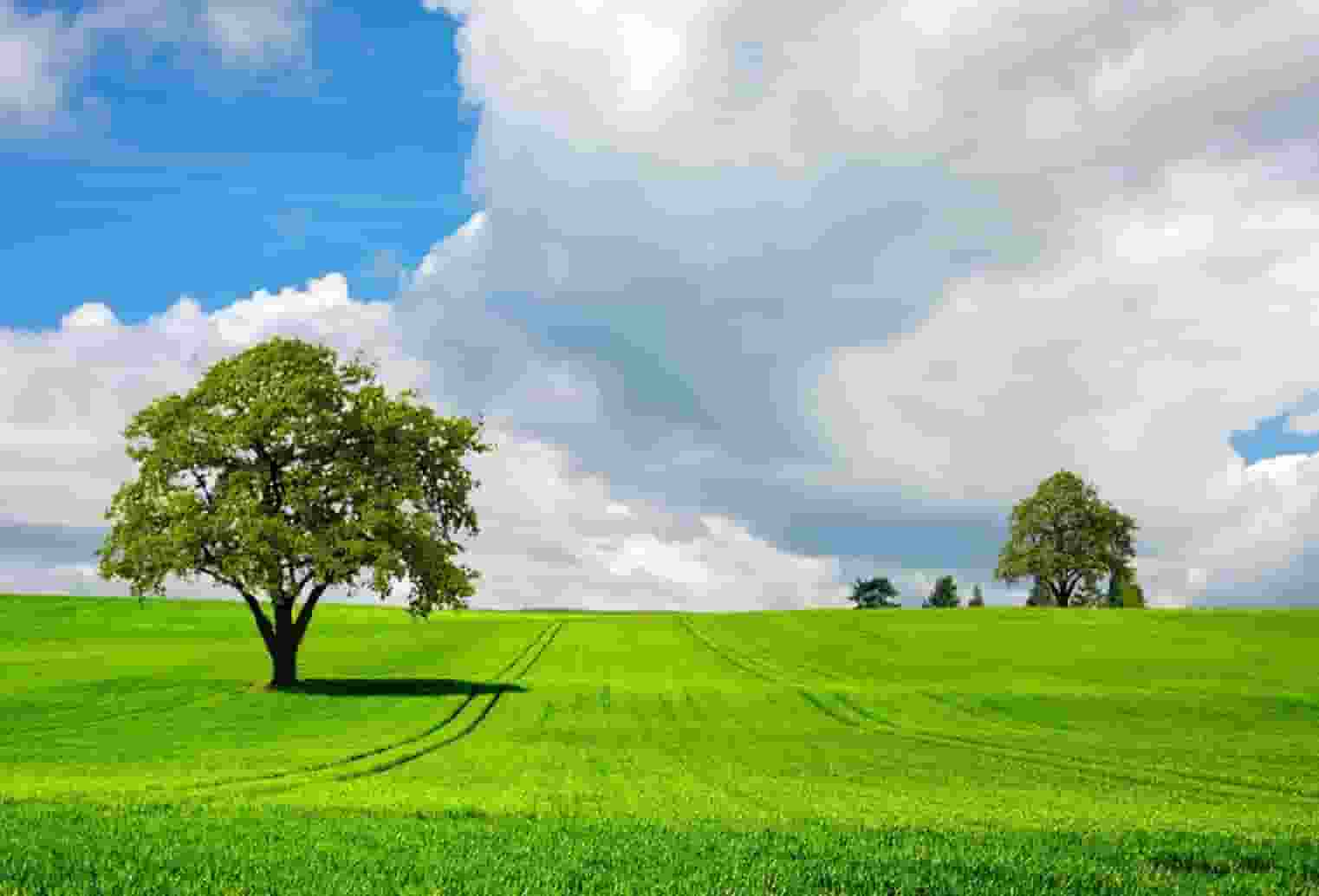 阜新县到北京距离(彰武距离阜新县多远)