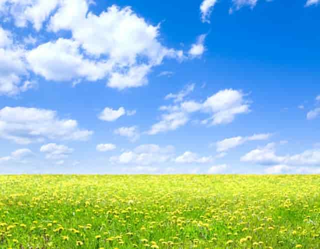 学习能力问题怎么学