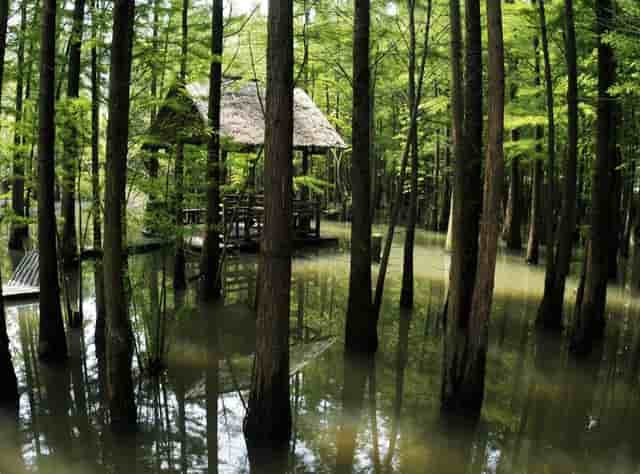 糖尿病人血糖高可以吃哪些东西