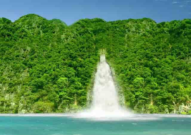 袖虎经验，让猫快速信任你！