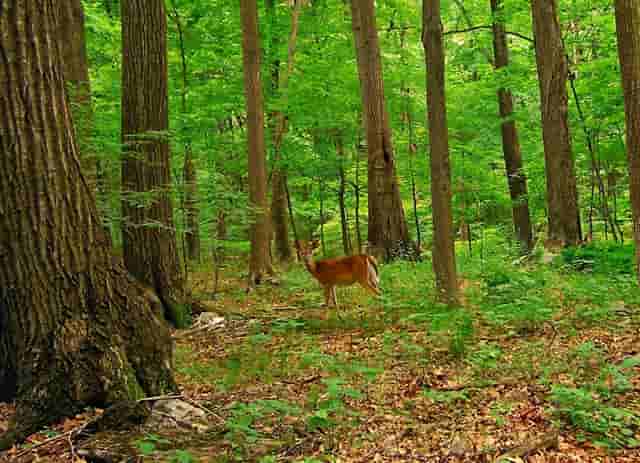 开展政法队伍教育整顿的措施