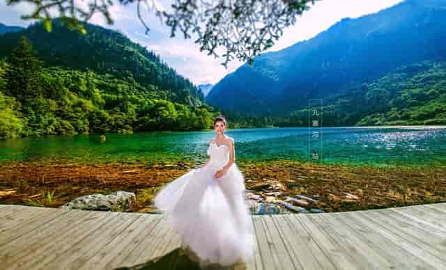 袖虎预警，夏季狗狗中暑要小心！