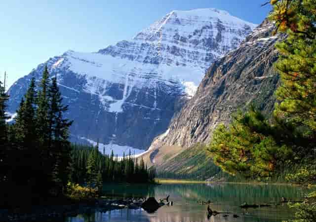 不说再见欧可欣的同款手链