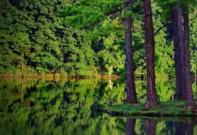 加盟热潮，袖虎宠物带你挣大钱！