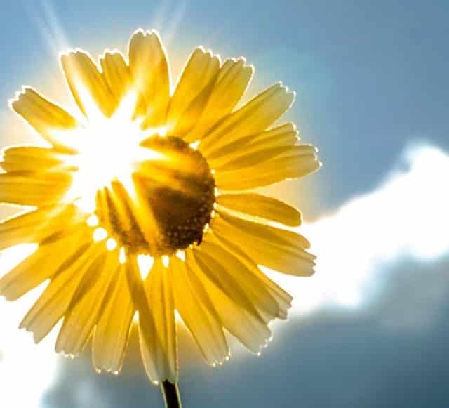 吴亦凡方回应推搡