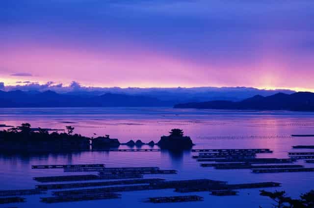 始兴中学2021年高考喜报