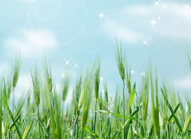 各大主播直播平台有哪些