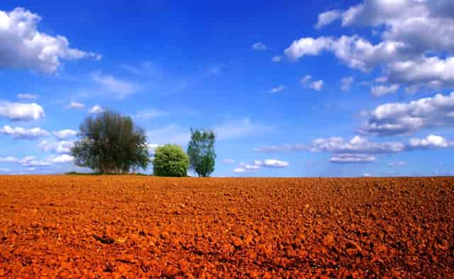 书法家赵义成助力“精忠报国”书画公益活动