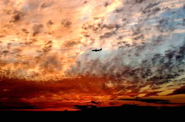 新冠接种接种凭证