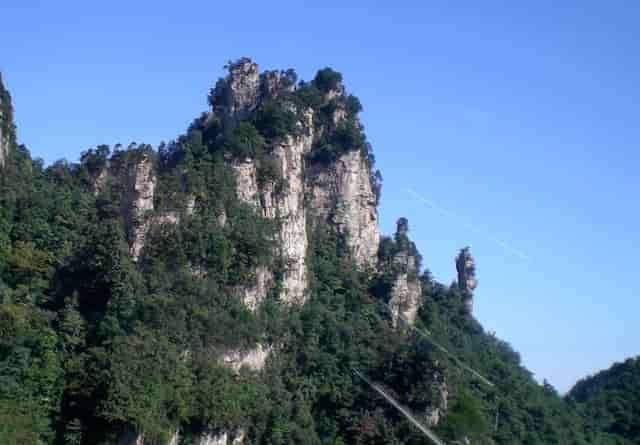 袖虎病猫攻略：猫细小的症状有哪些？