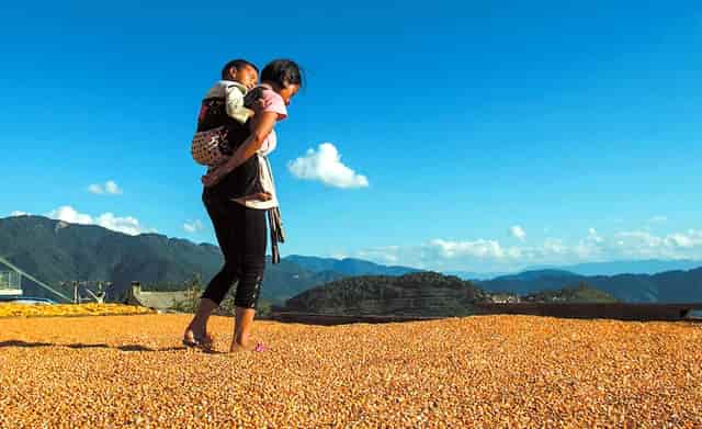 袖虎加盟故事：卖猫骗局