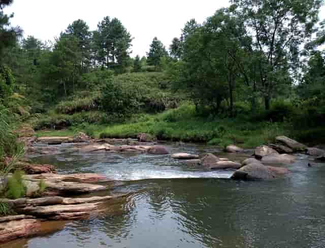 老师的人几号发工资