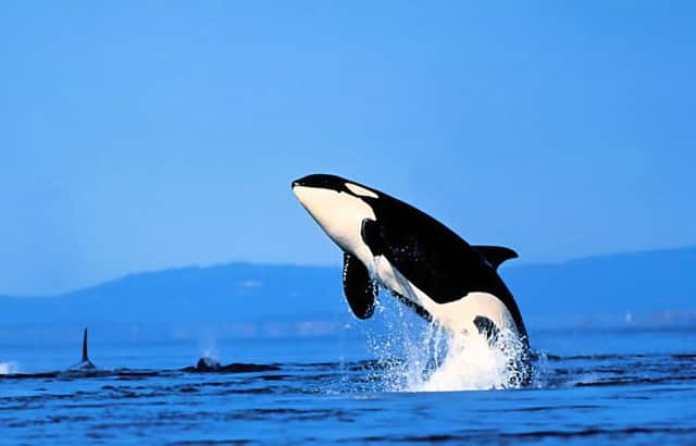 可以考证的大学专业