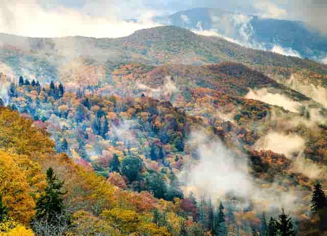 国外试驾捷豹xfl