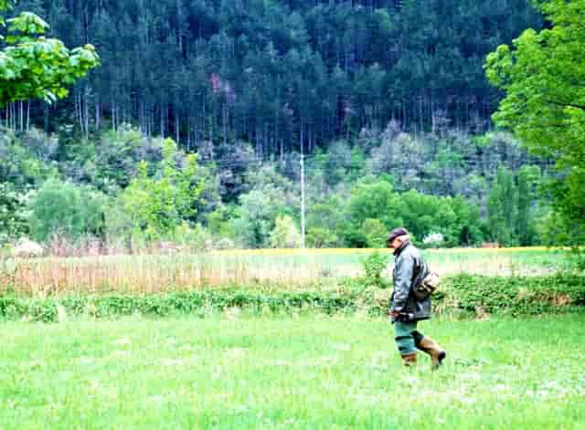 子宫内或周围有增生
