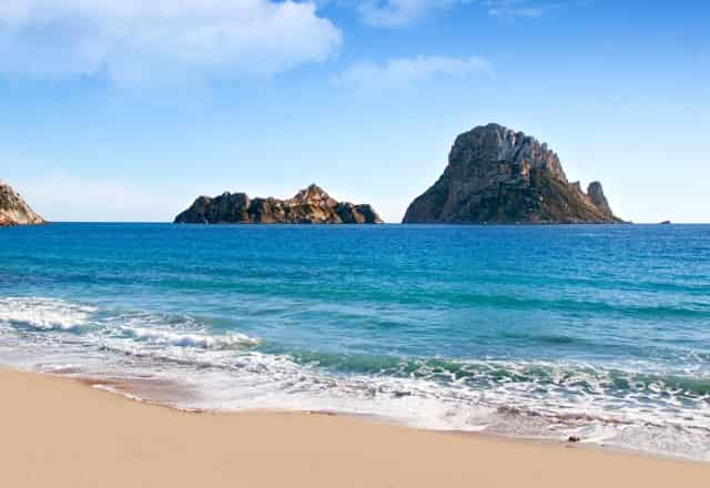 袖虎解答猫咪打针疑问，要怎么选疫苗？