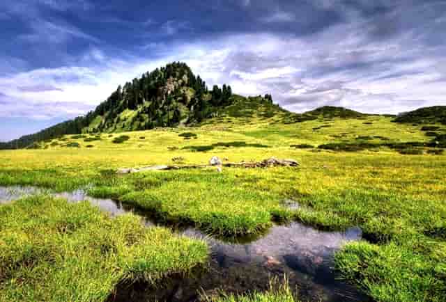 家长的陪伴有什么重要