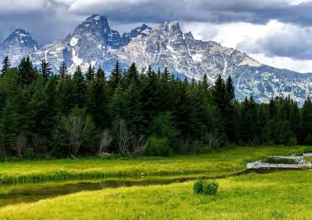 袖虎知识库：这个东西看似没用，实则少不了