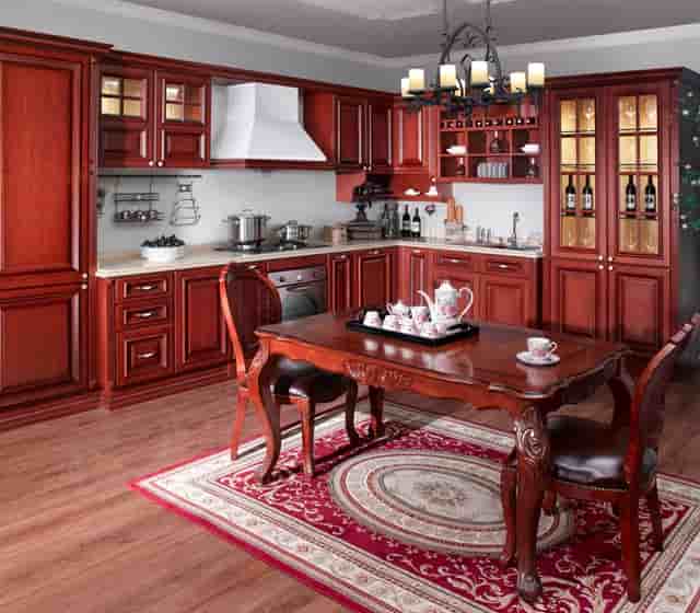 袖虎病狗攻略：狗发烧怎么办