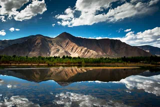 疫苗补种新消息