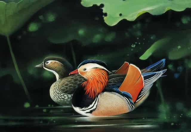 心脏被扭曲的痛苦到底有谁懂呢