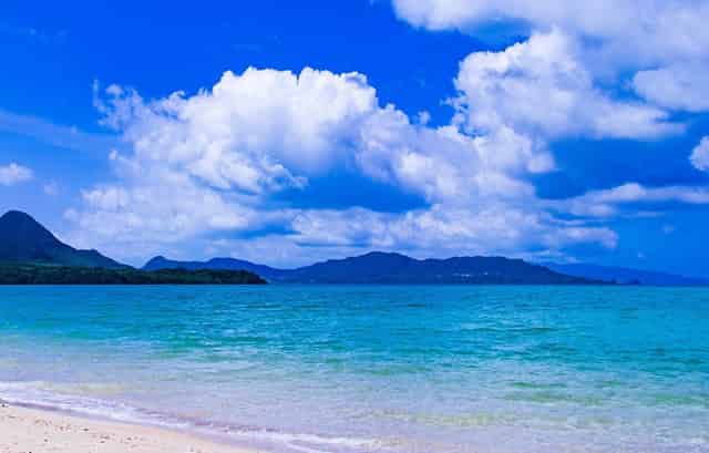 大疆无人机网上没有了