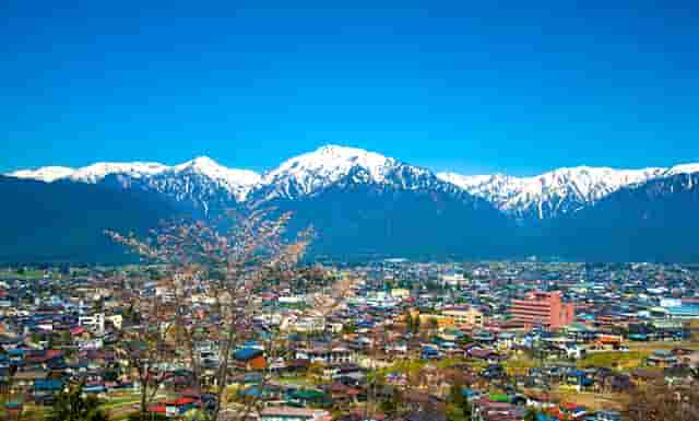 袖虎病狗攻略：狗狗口腔保健，拒绝口臭