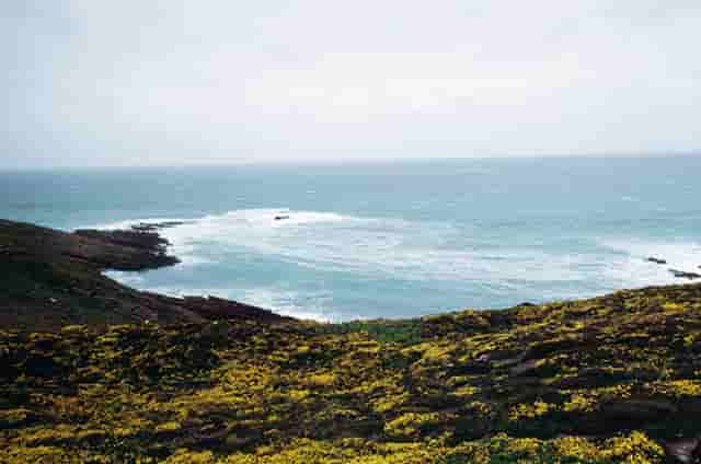 时尚的鞋子搭配技巧(女士鞋子搭配方法与技巧)