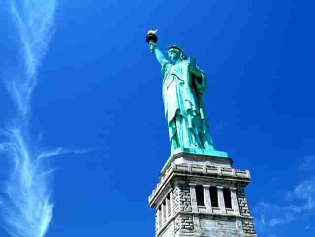 袖虎病猫攻略：猫咪眼睛明亮的奥秘