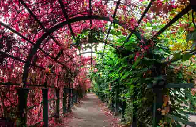 胖子搭配衣服技巧时尚(150斤胖子搭配衣服)