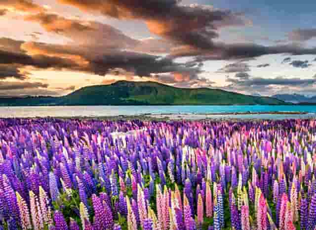 时尚运动照拍摄技巧