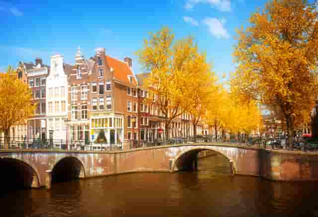 眼前的意思荷花比作什么(荷花比作什么样的人)