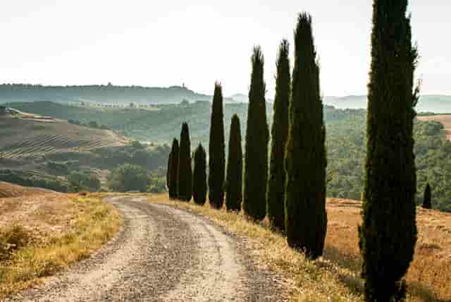 搭配衣服技巧时尚男(男青年时尚衣服搭配图片)