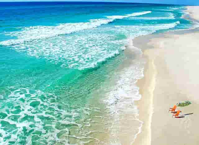 袖虎病猫攻略：怀孕养猫咪就一定会感染弓形虫吗？