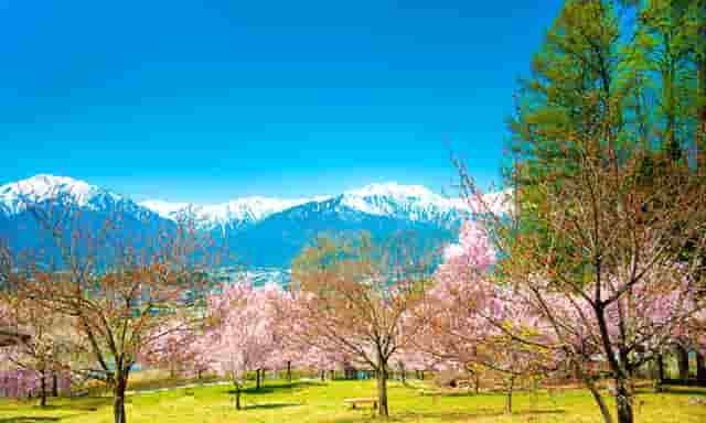 时尚的技巧(时尚摆拍技巧)