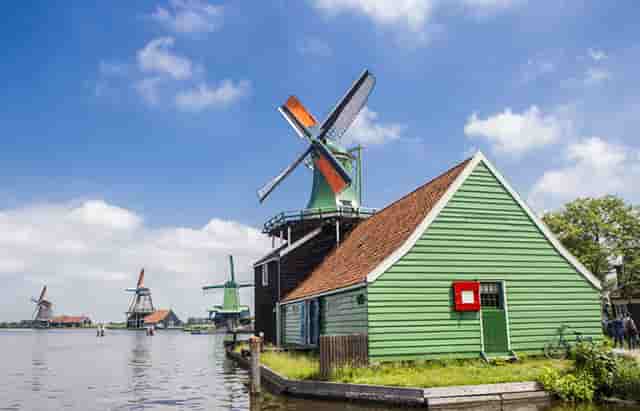 民族品牌的骄子，为什么是鲁花？