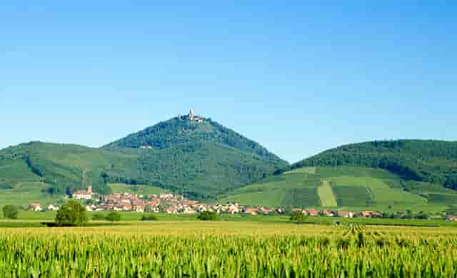 2018时尚穿搭技巧学生(女子穿搭技巧答案2018)