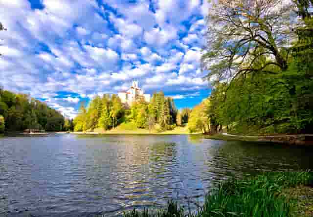袖虎宠物解读宠物行业是否存在加盟骗局？