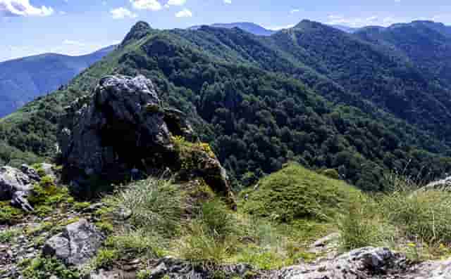 HECTAUS澳洲瀚德移民： 2024年高考后澳大利亚留学详细指南