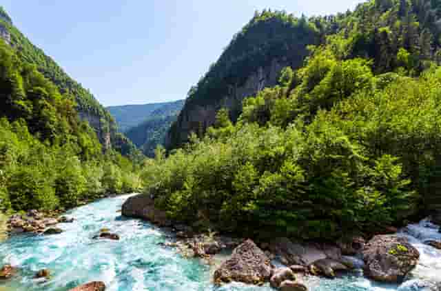 袖虎病狗攻略：鉴别病狗和健康狗的十二个方面，你知道几个？