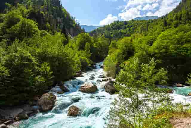 元江猕猴桃几月份成熟