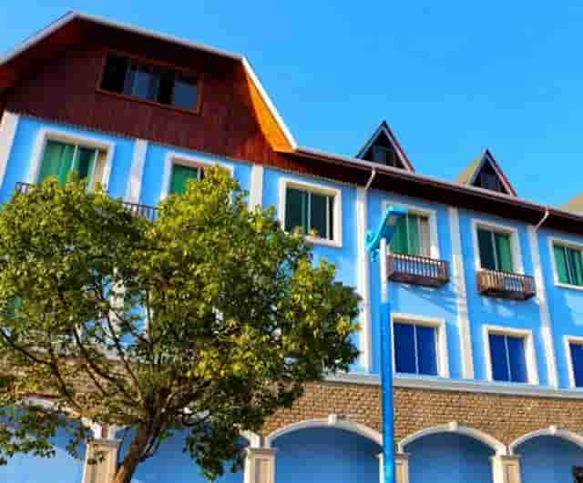 袖虎病猫攻略：猫反复长跳蚤是为什么？