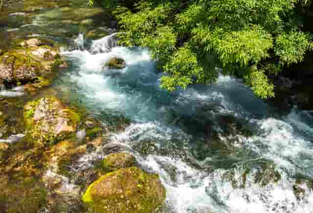 音乐剧《乳香飘（暂定名）》研讨会在内蒙古文联召开