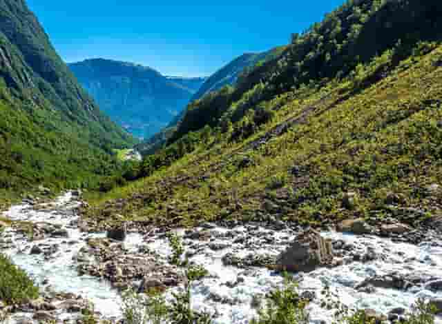 进入热门宠物行业，“口碑王”袖虎宠物带你成功！