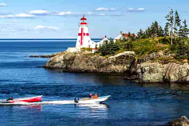 袖虎宠物加盟解惑，宠物店加盟品牌到底靠谱不？