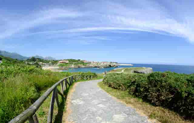 中国奥运的过程(中国奥运名单)