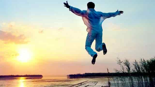 袖虎宠物带你避雷星期猫！不可马虎大意！