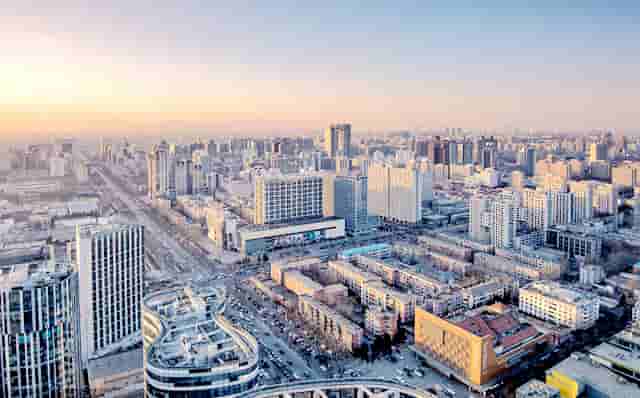 袖虎病猫攻略：小心换粮会软便！